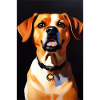 Dog Picture