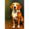 Dog Picture