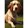 Dog Picture