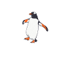 Penguin Lover Penguin Gifts
