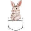 Lapin dans un sac aquarelle