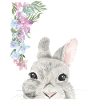 Hasenkopf Mit Blumen