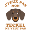 Chien de race teckel 2
