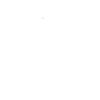 Gothic Moon Black Crow