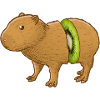 Capybara Kiwi