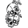Magic Mushrooms // Skulls // Illustration