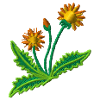 Dandelion