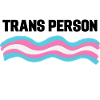 Transgender Flag LGBTQ Gift Transsexual