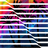 T-shirt City Summer