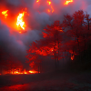 Rot-leuchtender Waldbrand