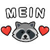 Mein Waschbär ❤️