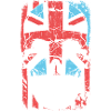 FLAG MASK SKULL