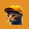 Chat cool
