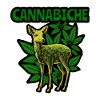 Cannabiche 02
