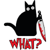 Cat What?