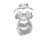 Liberia - Chimpanzees