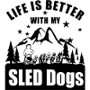 Schlittenhunde Musher