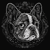 Bouledogue français