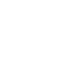 Bassist Guitar Instrument
