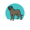 Mastiff
