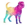 Mastiff