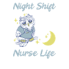 Emergency Nurse