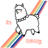 Fluffy Alpaca
