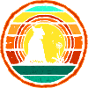 Bull Terrier sunset round