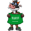 Saudi Arabia Cow Fan