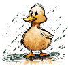 Crook the duck