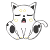 Grumpy puss
