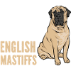 Mastiff Chien Vieux Mastiff anglais