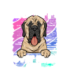 Mastiff Chien Vieux Mastiff anglais