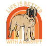 Mastiff Chien Vieux Mastiff anglais