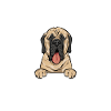 Mastiff Chien Vieux Mastiff anglais