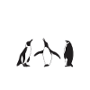 Penguin Lover Penguin Cadeaux