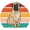 Mastiff Chien Vieux Mastiff anglais