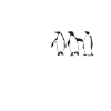 Penguin Lover Penguin Gifts