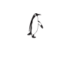 Penguin Lover Penguin Gifts
