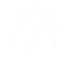 Violin Violin