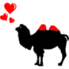 Camel in love