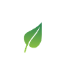 Eco-Friendly and Proud
