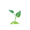 Eco-Friendly and Proud