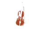 Violon Violon