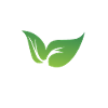 Sustainability is the future
