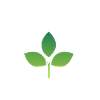 Sustainability is the future