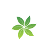 Sustainability is the future