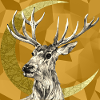 Hirsch