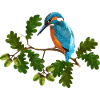 Bunter Vogel