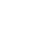 Fox Terrier « Édition Noire »